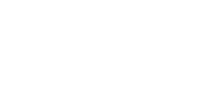 Il Maturando in Crisi